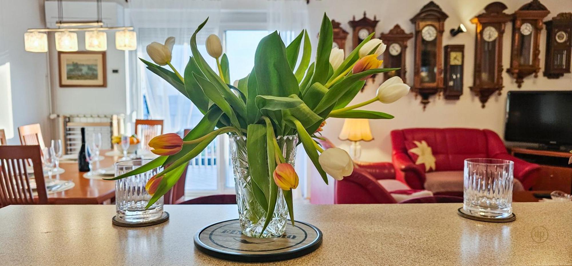 Aria Superior Apartment, Seaview & Wellness ปอร์โตรอซ ภายนอก รูปภาพ